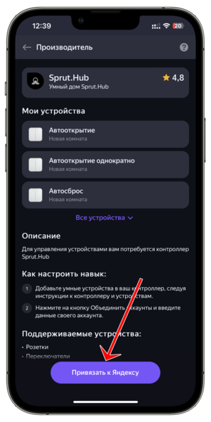 Ассистенты Яндекс 05.png